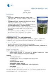 elefantenfuß englisch Elefantenfuss | Beaucarnea recurvata main image 0