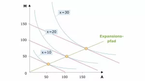 Video: Volkswirtschaftslehre - Herleitung des optimalen Expansionspfades