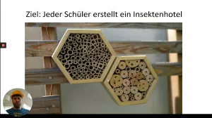 Video: Insektenhotel erstellen