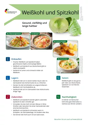 Text: Lebensmittel-Infoblatt: Weißkohl/Spitzkohl