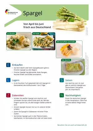 Text: Lebensmittel-Infoblatt: Spargel