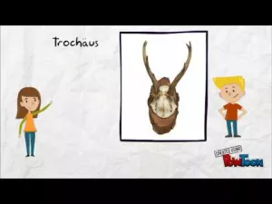 Video: Metrum erkennen