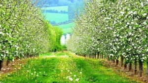 Video: Die Schilderung