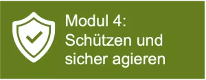 Presentation: Modul 4: Schützen und sicher agieren - Lehrvortrag Best Practice: Tipps zur digitalen Selbstverteidigung (Datensparsamkeit) (pptx)