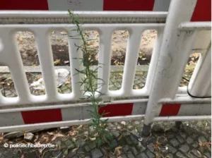 Arbeitsblatt: Bilder von der Digitalisierung