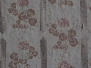 Arbeitsblatt: Es geht um Menschrechte, nicht um Ideologie