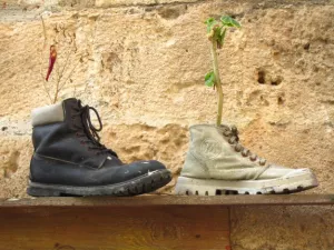 Arbeitsblatt: Zukunftsszenarien: Die Welt im Jahr 2050