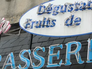 Arbeitsblatt: Handbuch „Handlungskonzept zur Umsetzung primärpräventiver Maßnahmen für Jugendliche und junge Erwachsene an Volkshochschulen“