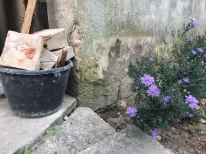 Arbeitsblatt: „Ich sehe was, was du nicht siehst“