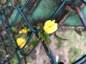 Arbeitsblatt: Kleine Große Schritte - Umgang mit Ausgrenzung und Extremismus erproben