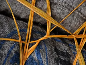 Arbeitsblatt: Austausch zwischen Wissenschaft und Praxis der politischen Bildung fördern