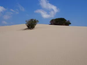 Arbeitsblatt: Planspiel Schiffsbau