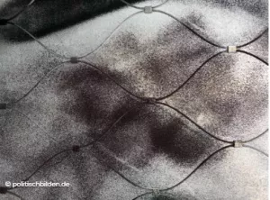 Arbeitsblatt: Digitalisierung und Nachhaltigkeit - Quiz Handreichung