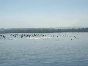 Arbeitsblatt: Rassismus - Herkunft, Erscheinungsform und pädagogische Handlungsstrategien