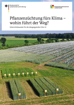Unterrichtsbaustein: Pflanzenzüchtung fürs Klima - wohin führt der Weg?