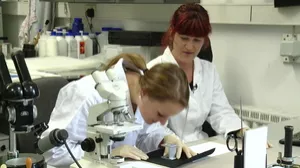 Video: Textillaborant/in