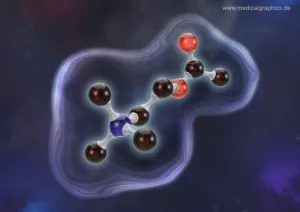 Bild: Acetylcholin