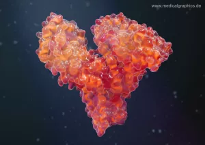 Bild: Humanalbumin