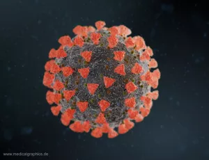Bild: Coronavirus Elektronenmikroskop