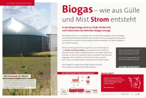 Text: Schautafel Schweinehaltung: Biogas