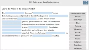 Lernspiel: C4-3 Drag the words: Wie baut man einen Entscheidungsbaum (Quiz zum Video)