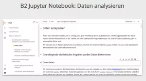 Sonstiges: B2 Jupyter Notebook: Daten analysieren