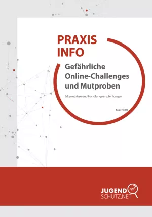 Broschuere: Praxisinfo: Gefährliche Online-Challenges und Mutproben