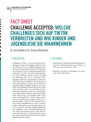 Fallstudie: Challenge Accepted | Factsheet