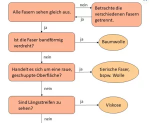 Arbeitsblatt: Mikroskopische Analyse von Textilfasern