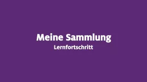 Video: LEIFIPhysik | Lernfortschritt in einer Sammlung