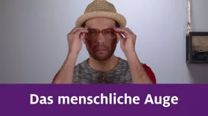 Video: Das menschliche Auge