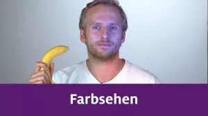 Video: Farbsehen
