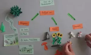 Video: Erklärvideo zu Biodiversität