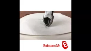 Video: Bologneser Träne