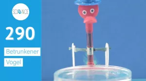 Video: Trinkvogel