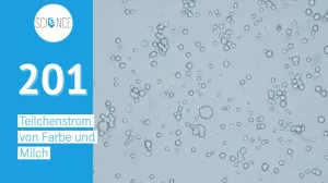 Video: Braunsche Bewegung mit Teilchenströmung (lange Version)