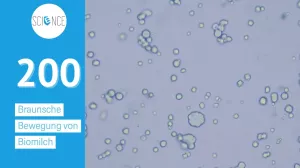 Video: Braunsche Bewegung von Fettpartikel in Bio Milch