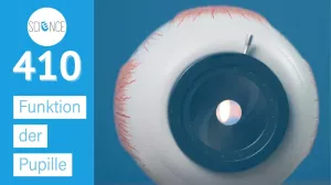Video: Funktion der Pupille