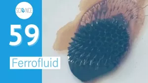 Video: Ferrofluid 1