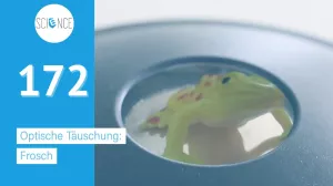 Video: Optische Täuschung eines Froschs