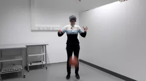 Video: Impulskanone