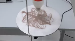 Video: Rosettenspur des Foucaultschen Pendels