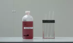 Video: Kapillarität mit gefärbtem Ethanol