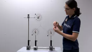 Video: Die Kraft als vektorielle Größe