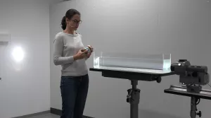 Video: Himmelblau und Abendrot durch Rayleigh-Streuung