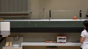 Video: Umwandlung von Spannenergie in kinetische Energie (Teil 2)