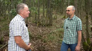 Video: Nachhaltigkeitskonzept der Waldkorporation Wiesen/Bad Staffelstein (Teil 2)