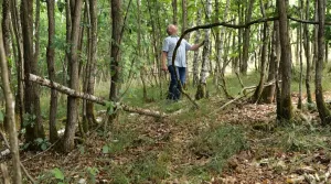 Video: Technik der Ernte und Nutzung der Niederwaldbewirtschaftung: Waldkorporation Wiesen/Bad Staffelstein (Teil 3)