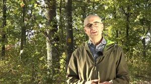 Video: Einführung der Mittelwaldbewirtschaftung in Iphofen (Teil 1)