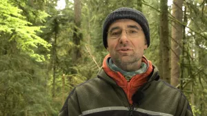 Video: 11) Intermediäre Bäume im Plenterwald